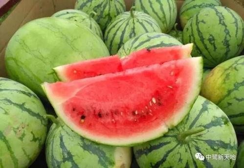 快抖吃瓜,揭秘网络热点背后的真相与笑料