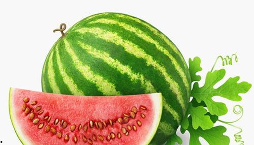 小刘同学在吃瓜,一场舌尖上的“瓜”界盛宴