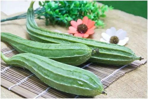 气虚的人可以吃八棱瓜,气虚人群的滋补佳品