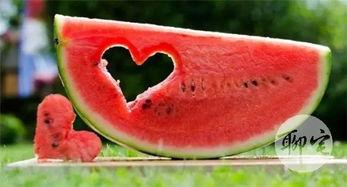 免费吃瓜 最新,揭秘网络热点的幕后故事