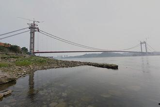 大桥吃瓜,揭秘神秘“吃瓜”现象背后的故事