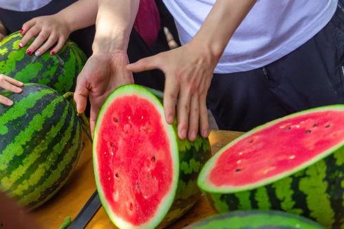 高校吃瓜资源群,揭秘校园热点背后的故事