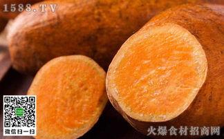 孕妇可以吃土瓜吗,土瓜的适宜与禁忌